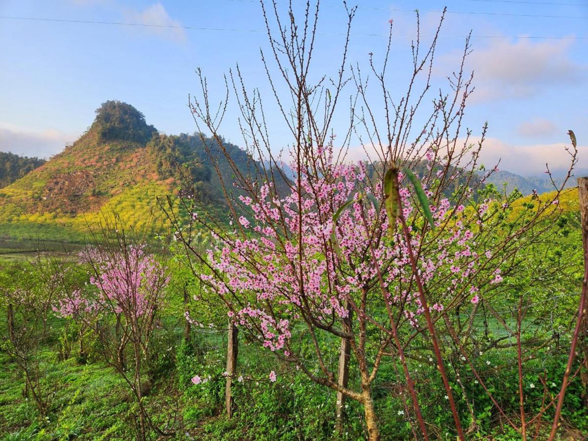 Апартаменты Moc Chau Peachy Garden Экстерьер фото